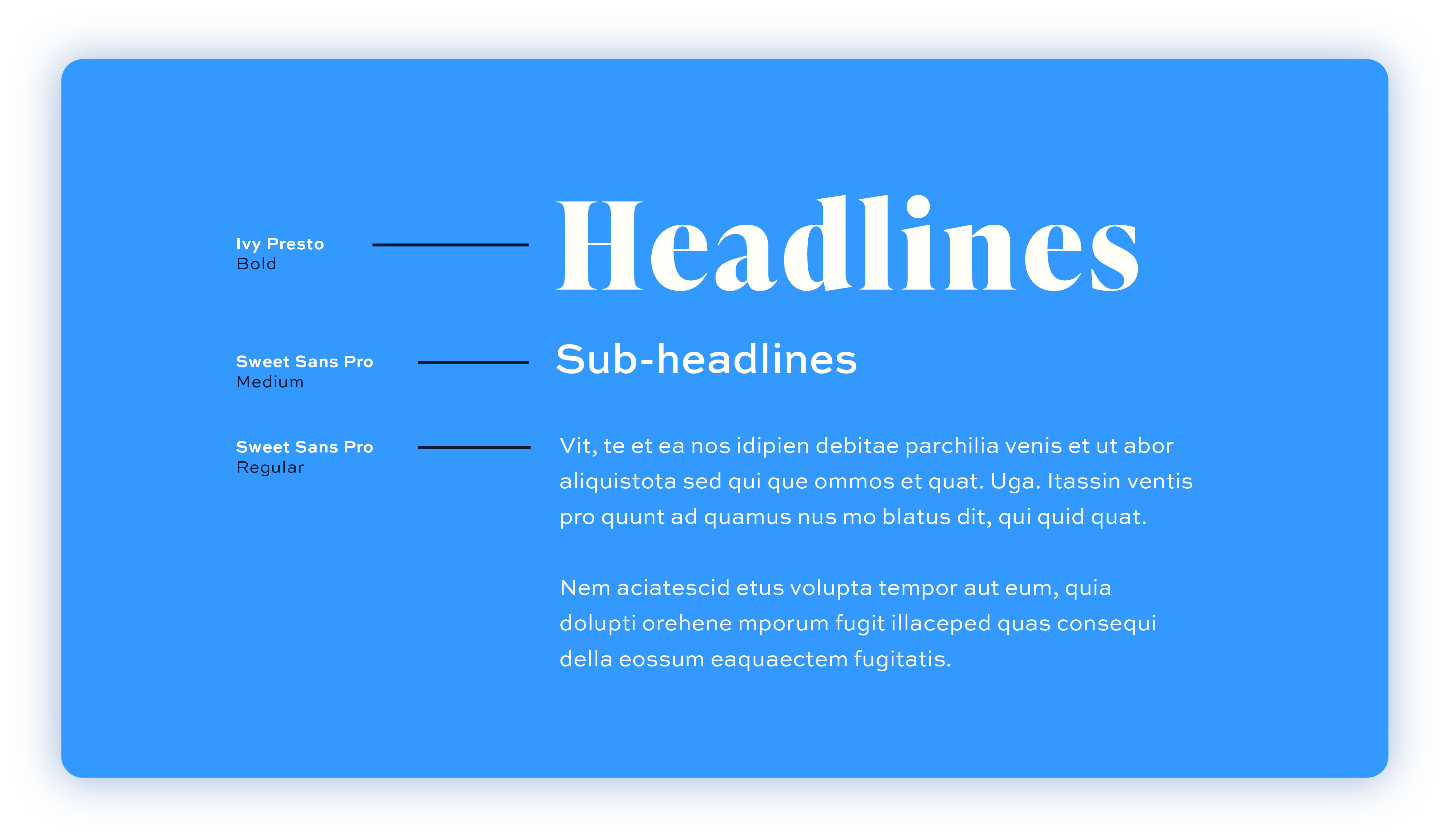Type Anatomy_1